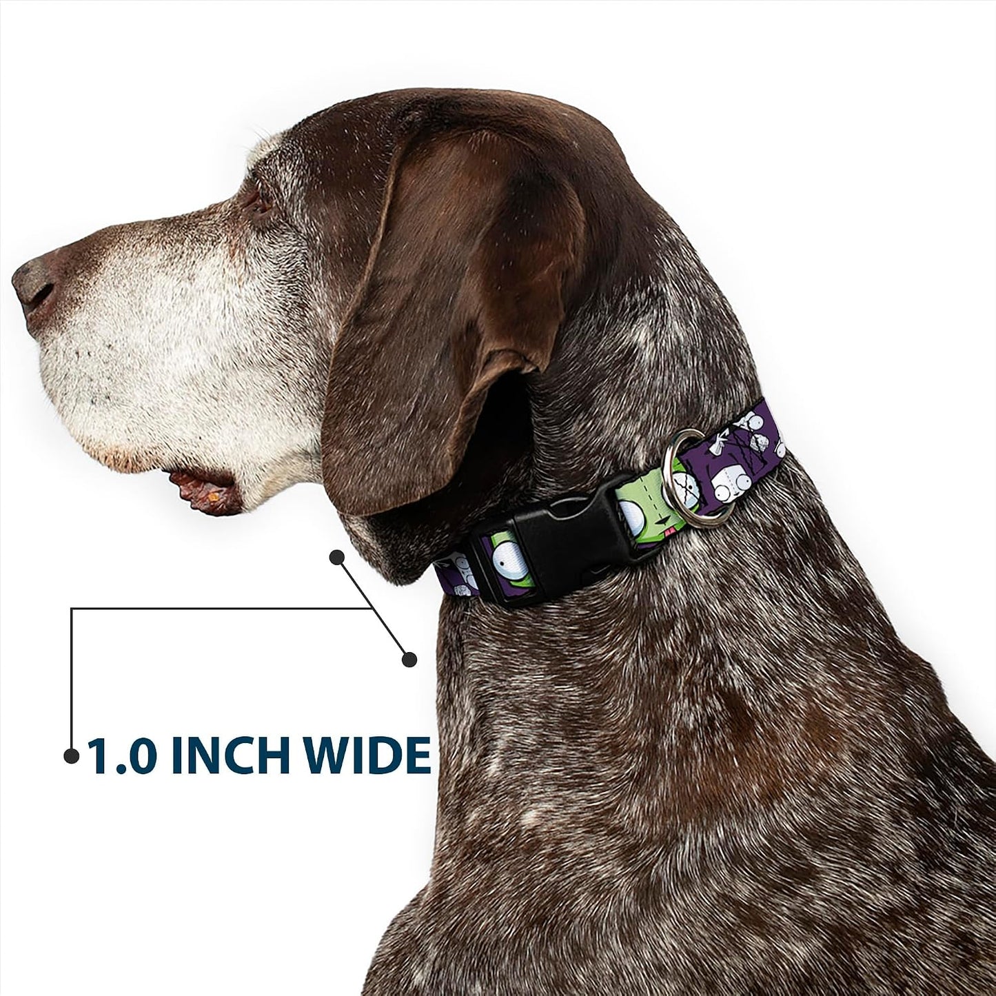 Plastic Dog Collar Clip – Secure & Reliable Accessories for Pet Collars